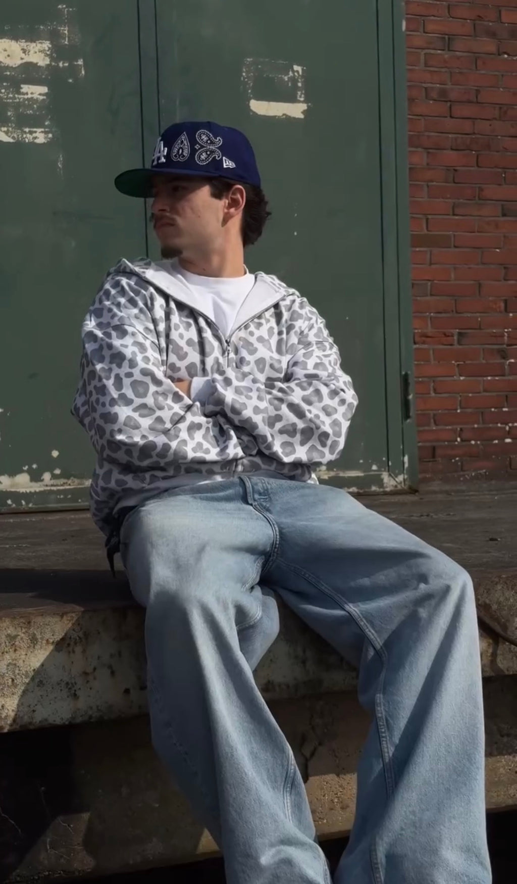 Grey Fang Hoodie