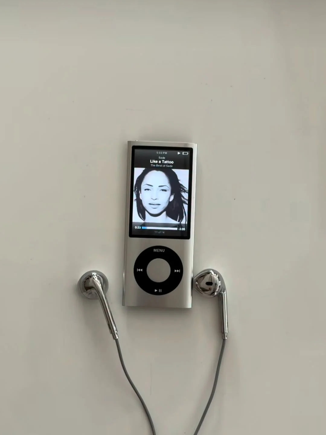 Chrome Silver Earphones